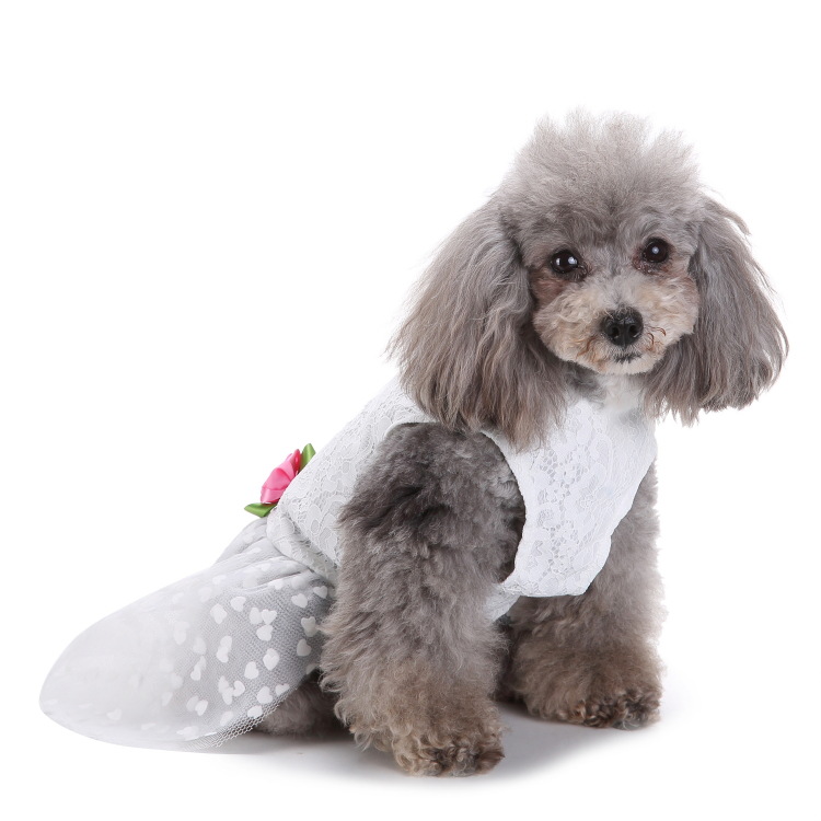 Pet Formal Dress  Dog Wedding Dress Lace Tulle Gown with Rose Accents